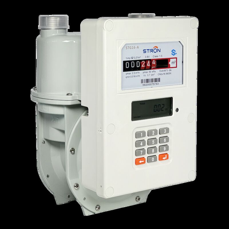 Smart Gas Meter digital metering solution offering real time monitoring and enhanced control over commercial gas consumption